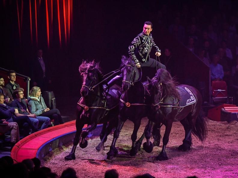 Due piedi su Tre cavalli