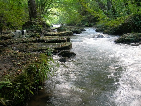 Esperti dei contratti di fiume