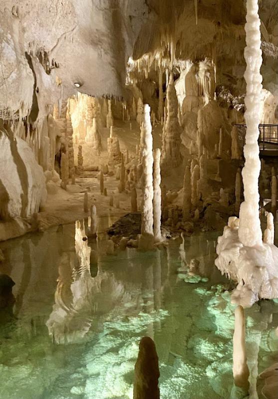 Il senso della natura