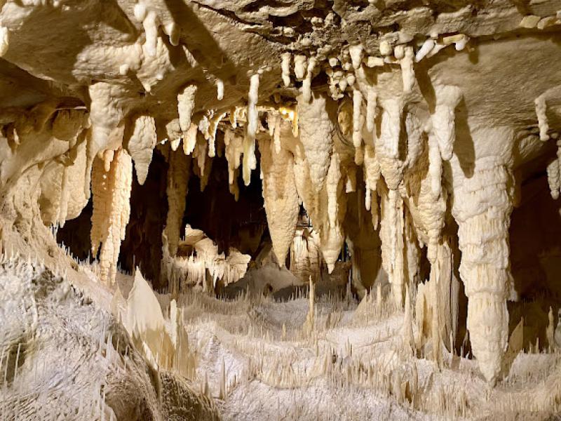 Il senso della natura