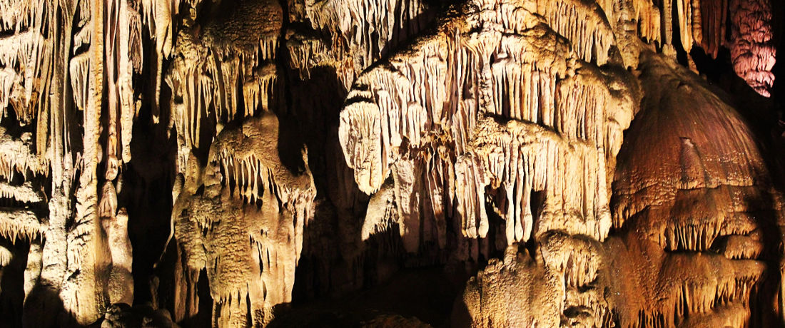 Speleologia