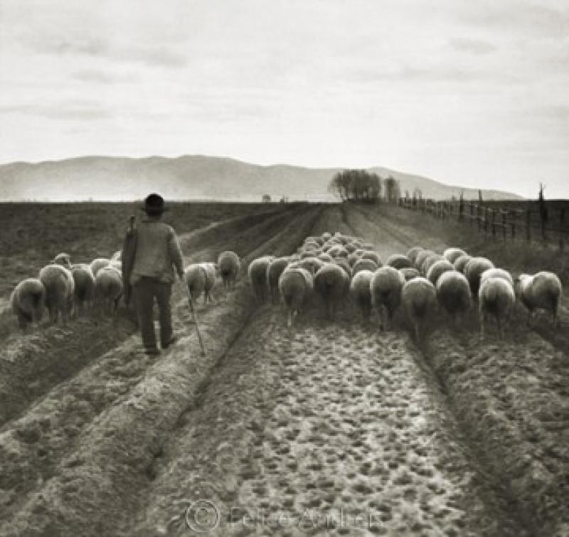 Un uomo che guarda