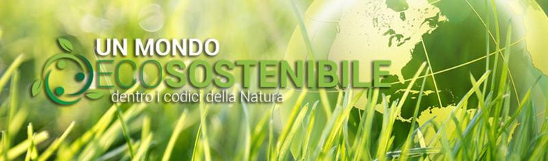 Allium nebrodense