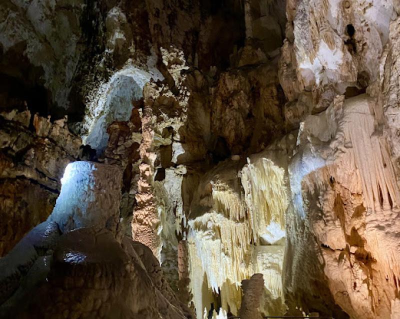 Il senso della natura