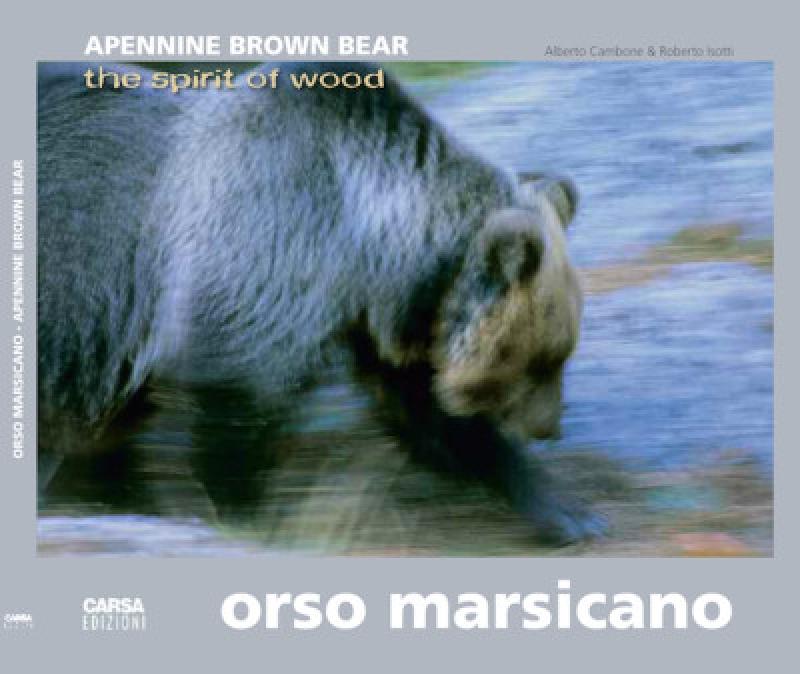 Orso Marsicano 
Lo spirito del bosco