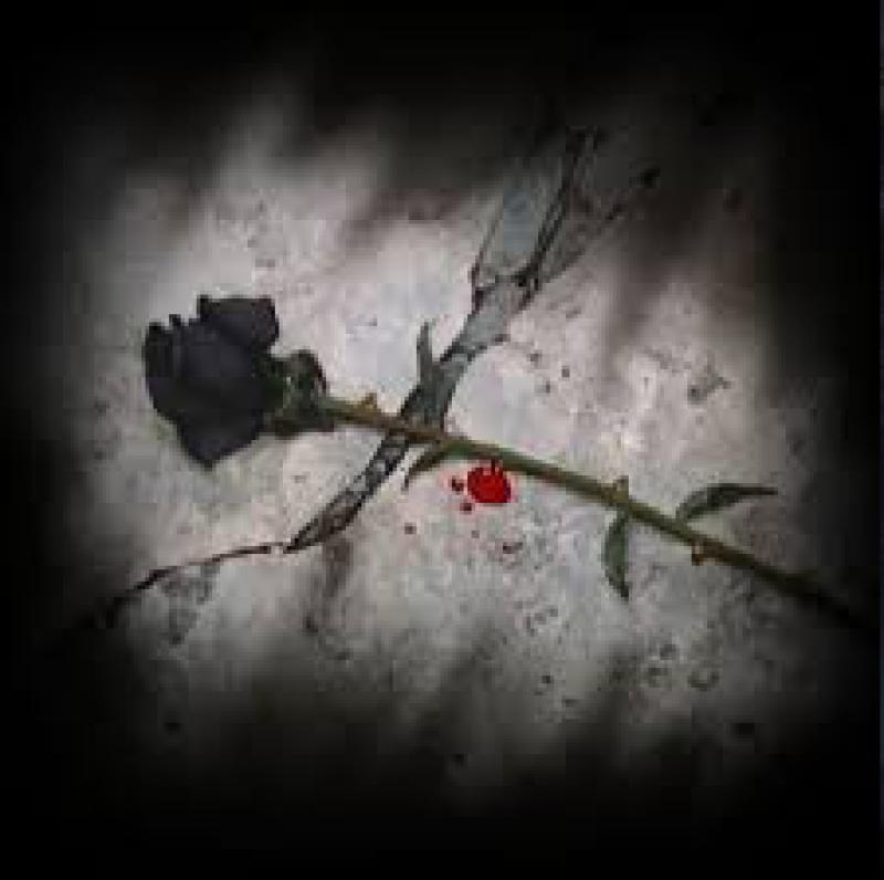 La rosa nera