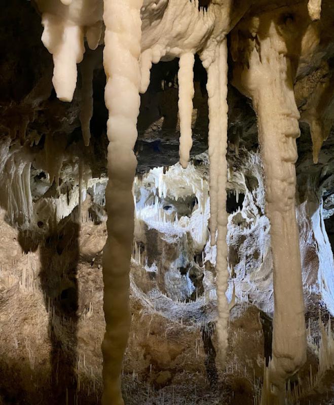 Il senso della natura