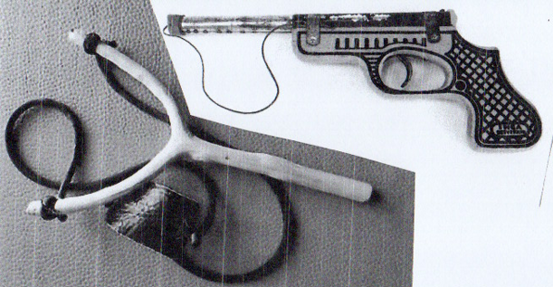 In difesa dei principi