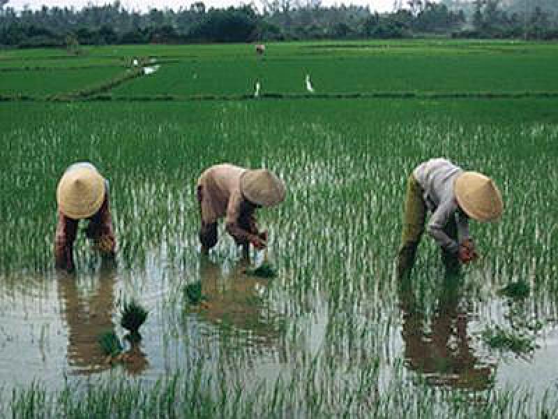 Il futuro dell'acqua il nostro futuro