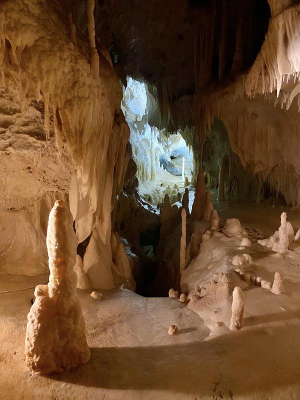 Il senso della natura