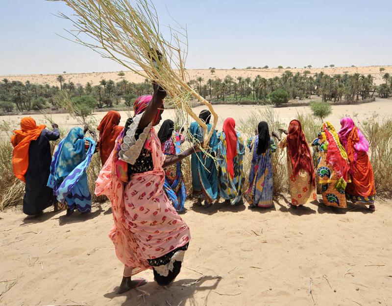 Sviluppo per il Sahel