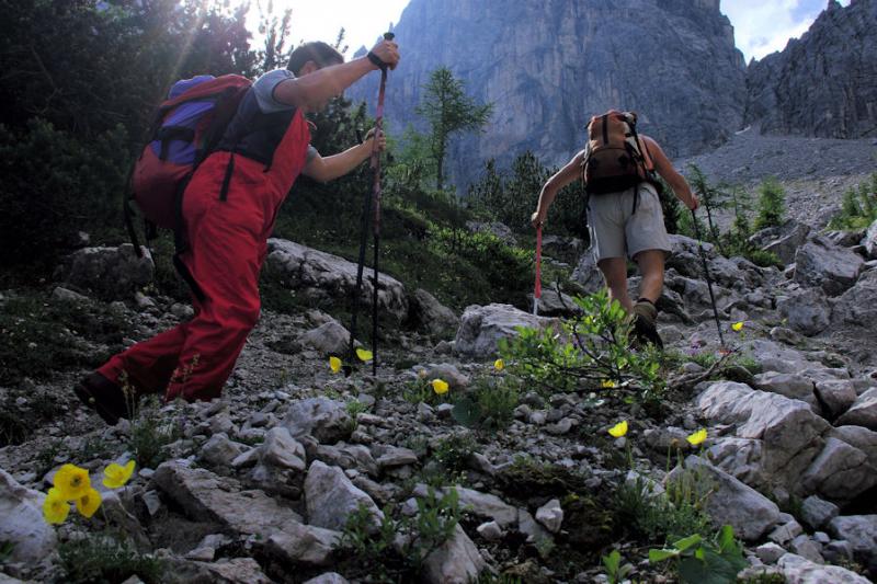 Nuove Dolomiti