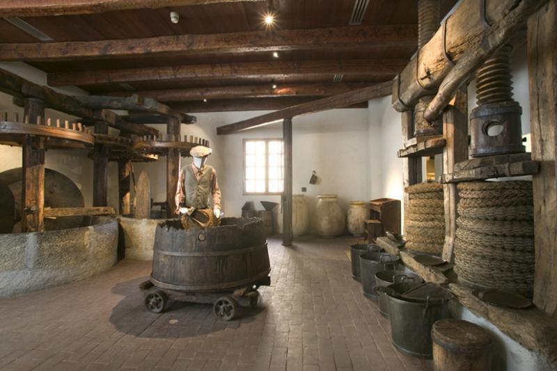 Museo dell'olio di oliva