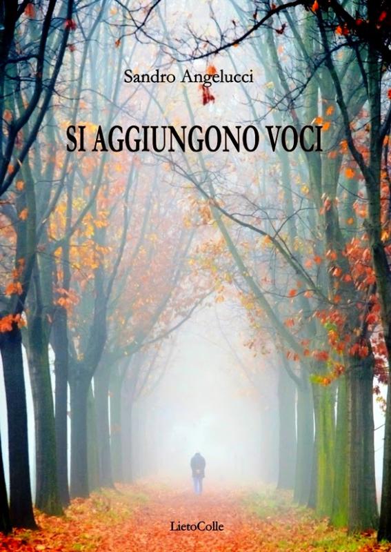 Si aggiungono voci