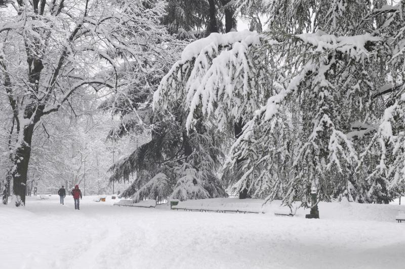 Bianca Neve Bianca Neve