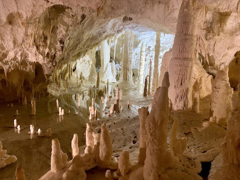 Il senso della natura