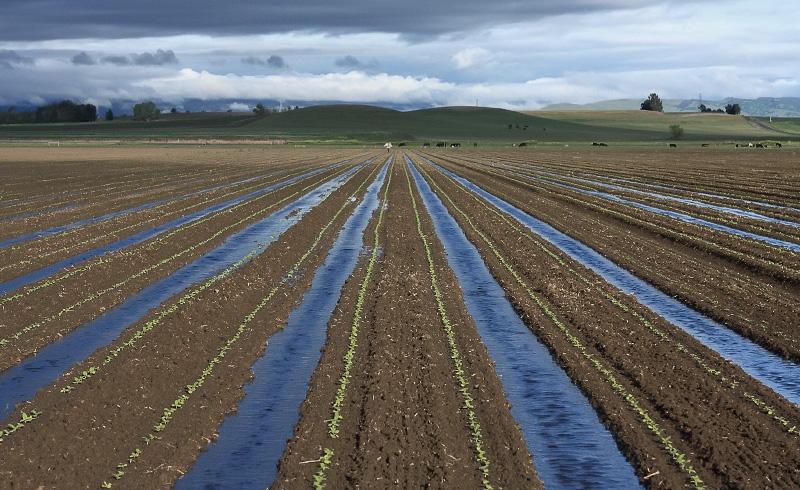 Il futuro dell'acqua  
il nostro futuro