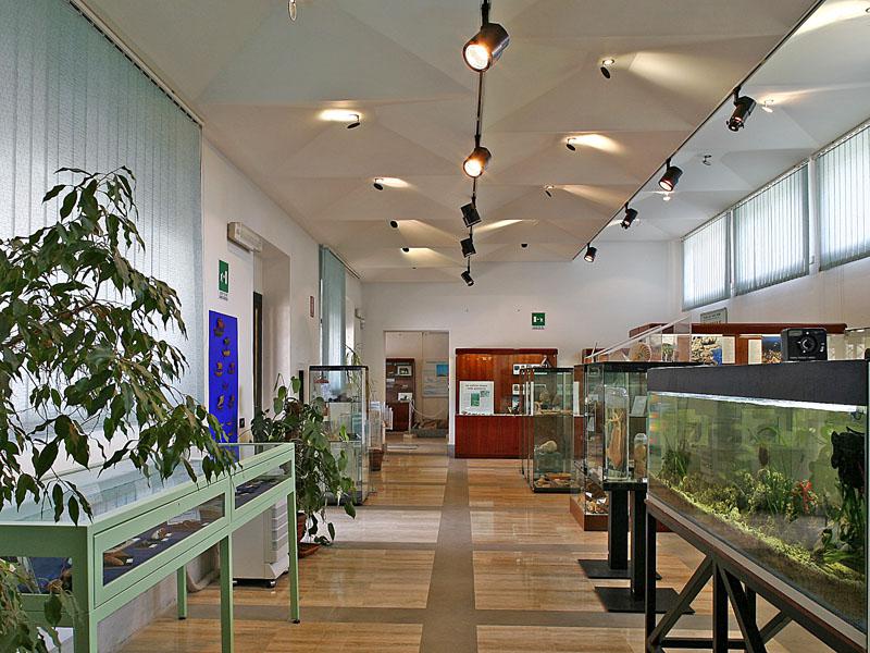 Museo del mare e della costa