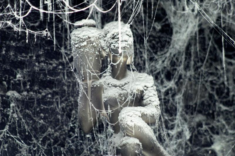 Tra sacro e profano Tra sacro e profano