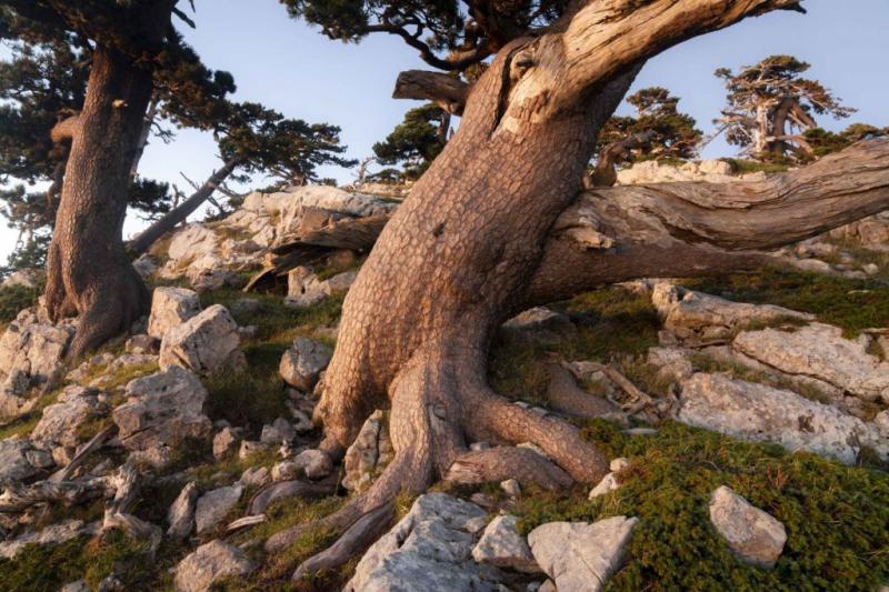 Il Paese della Biodiversita'