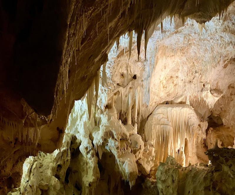 Il senso della natura