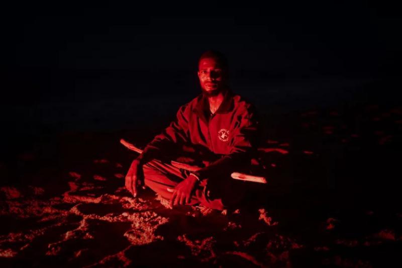 sentinelle delle tartarughe