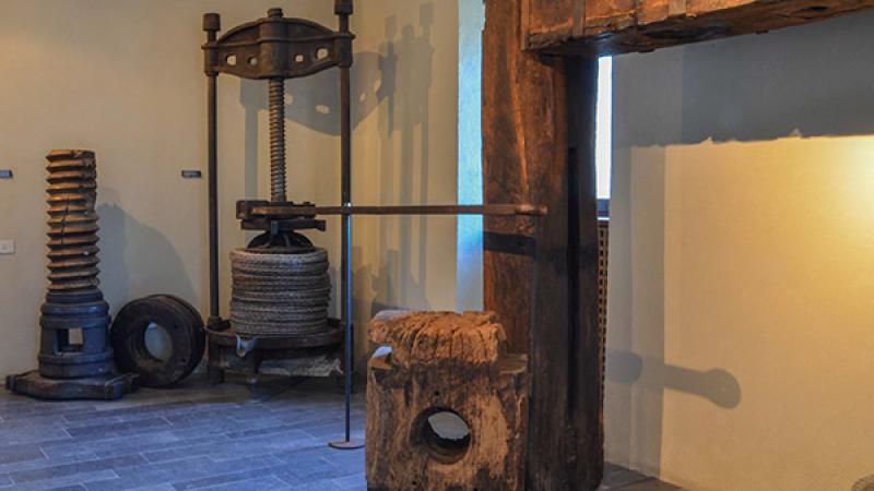 Olio: museo in Sabina