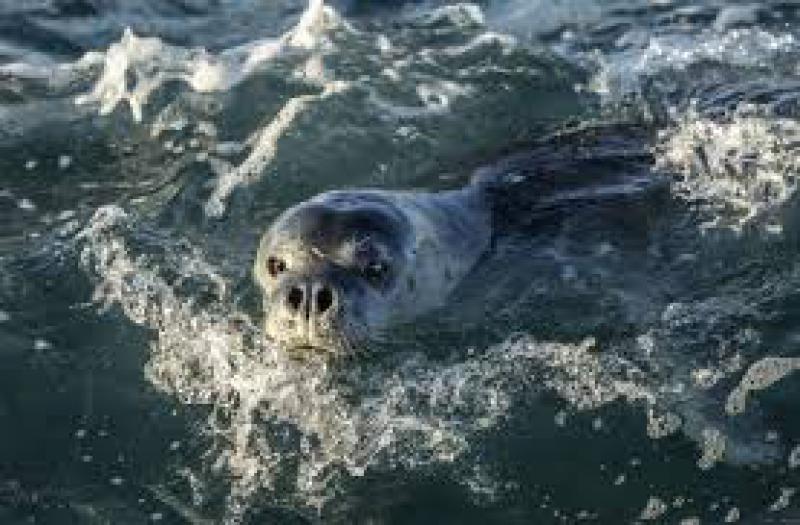 Il Paese della Biodiversita'