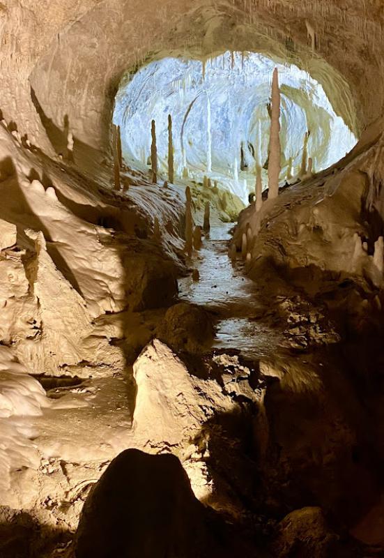 Il senso della natura