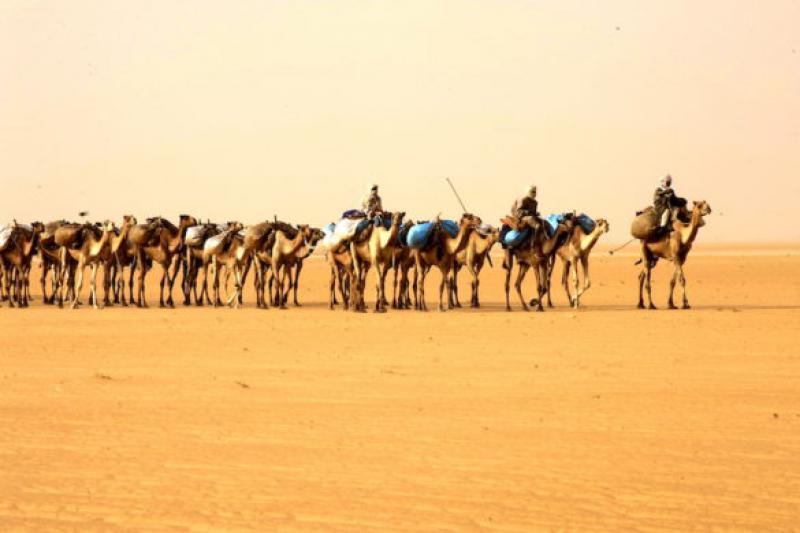 Viaggio nel Sahara