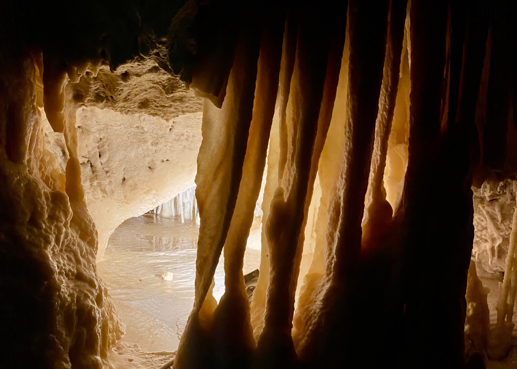 Il senso della natura