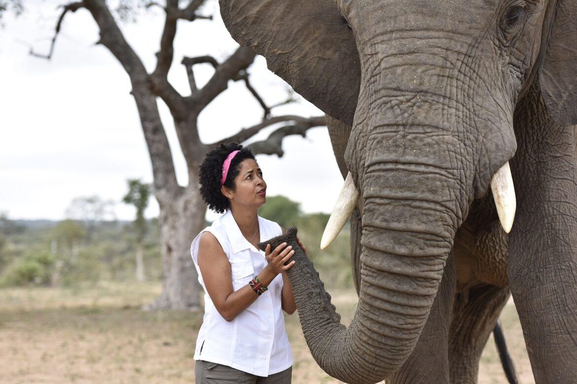 Kenia: Fauna selvatica