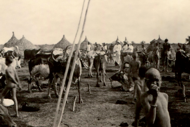 Dai Nuer ai Pokot