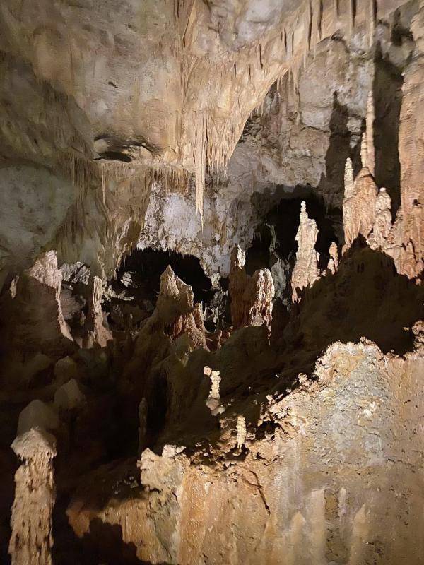 Il senso della natura