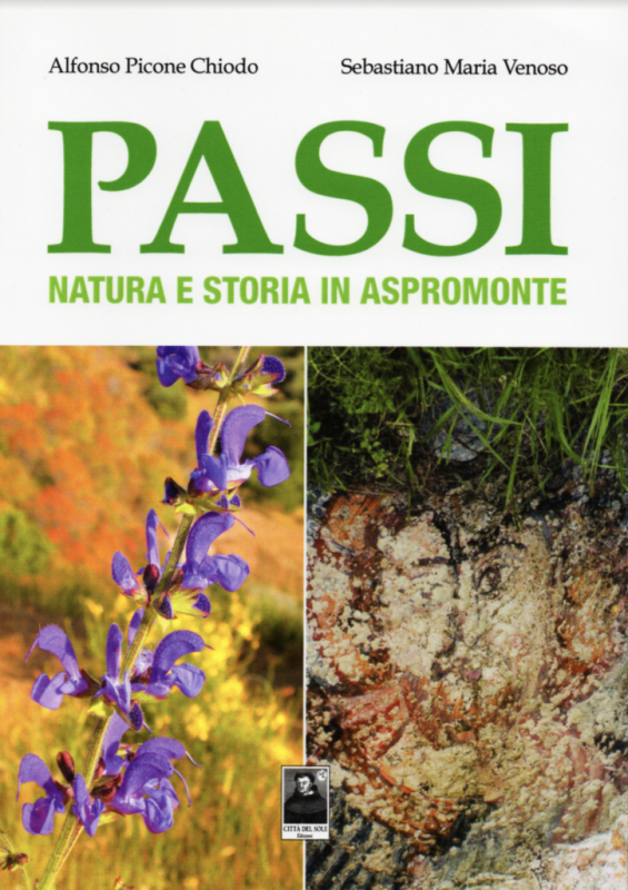 Passi