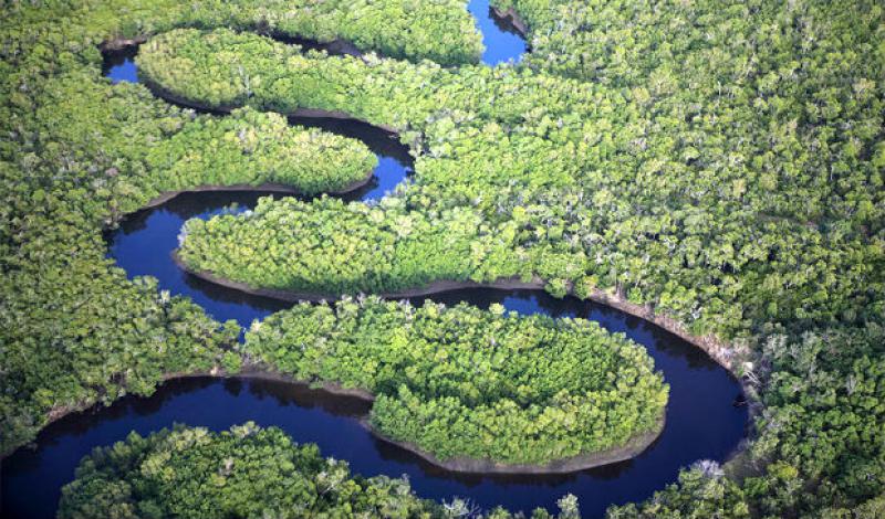 Il futuro dell'acqua  
il nostro futuro