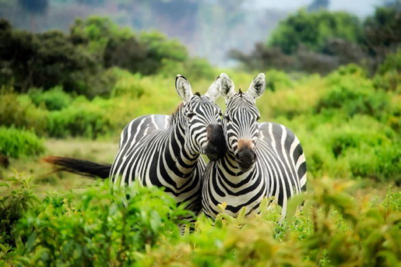 Viaggio nello Zimbabwe