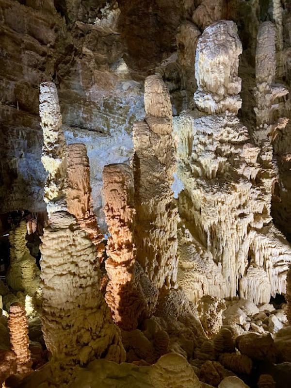 Il senso della natura