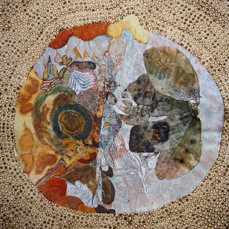 Saba Masoumian:  Addentro