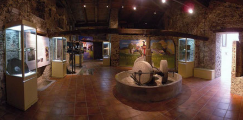 Museo dell'olio di oliva