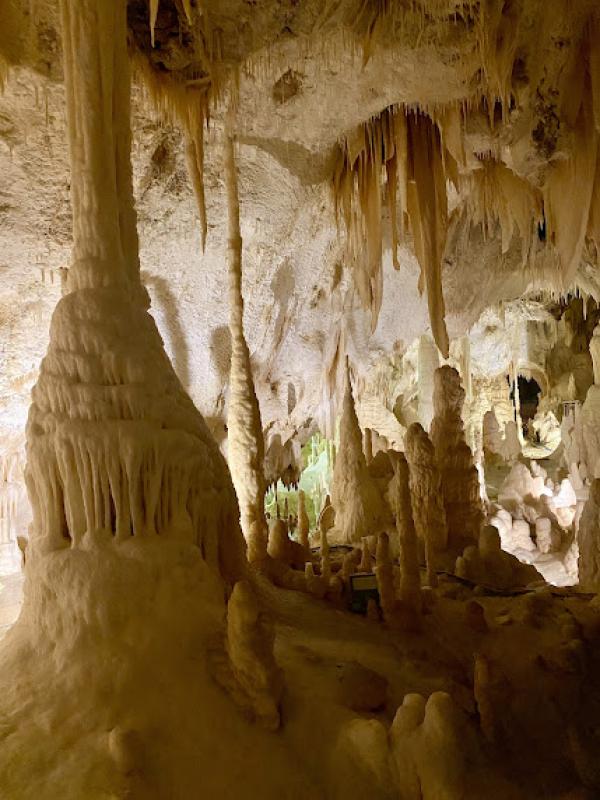 Il senso della natura