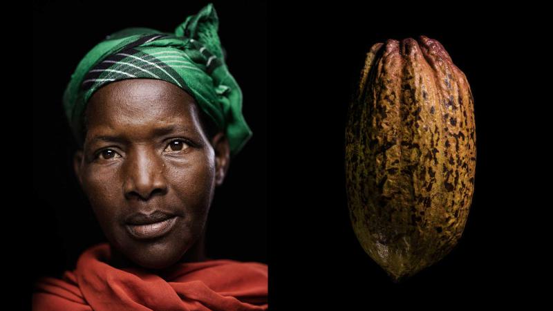 Le nuove donne del cacao
