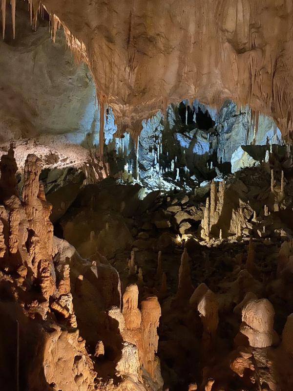 Il senso della natura