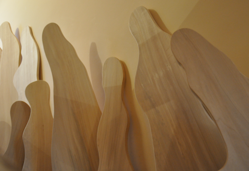 Milioni di veli in volo