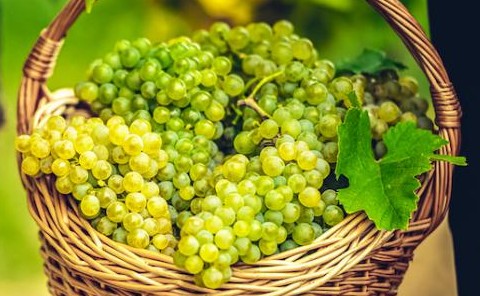 La voglia di settembre