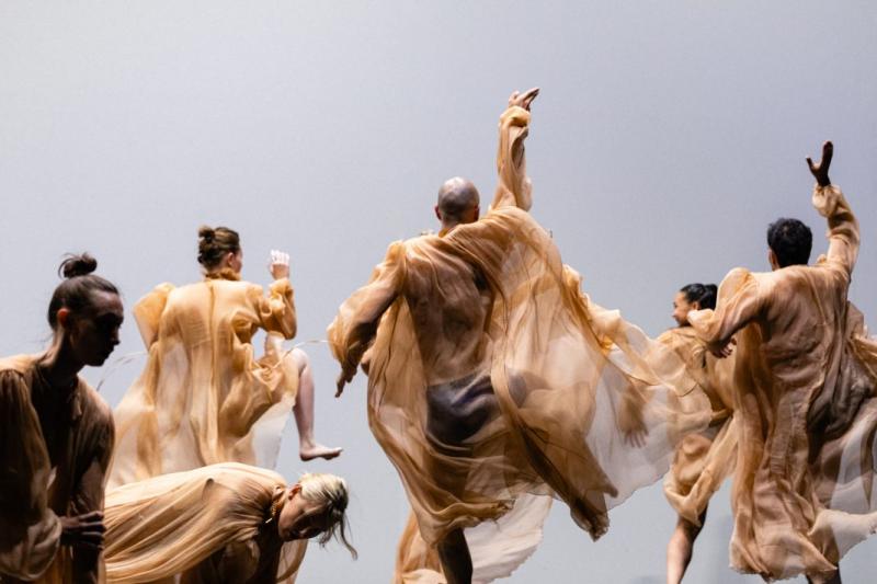 Danza