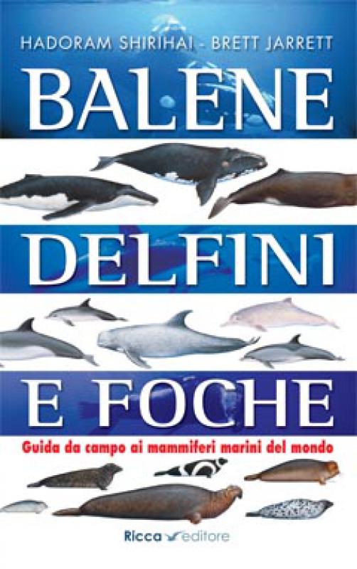 Balene delfini e foche
