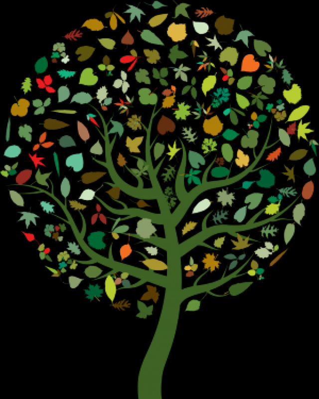 Pianeta Sano, Persone Sane