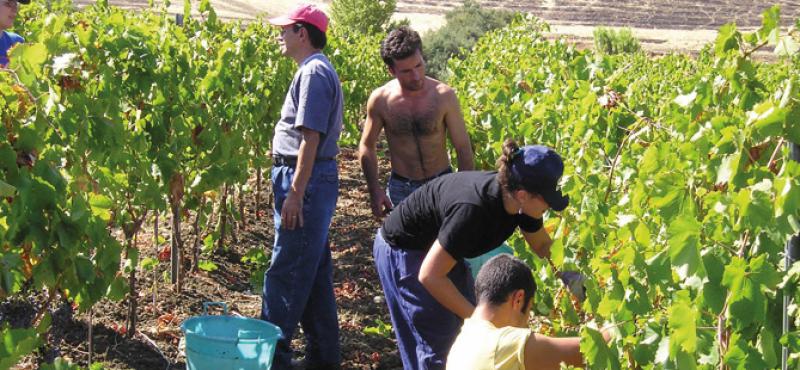 Agricoltura sociale
