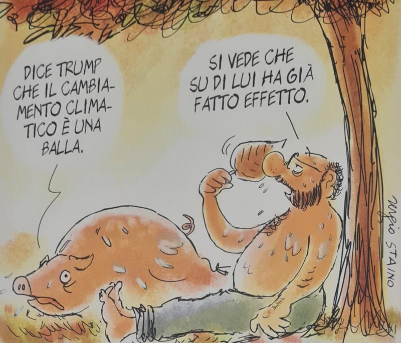 Incisioni rupestri camuni